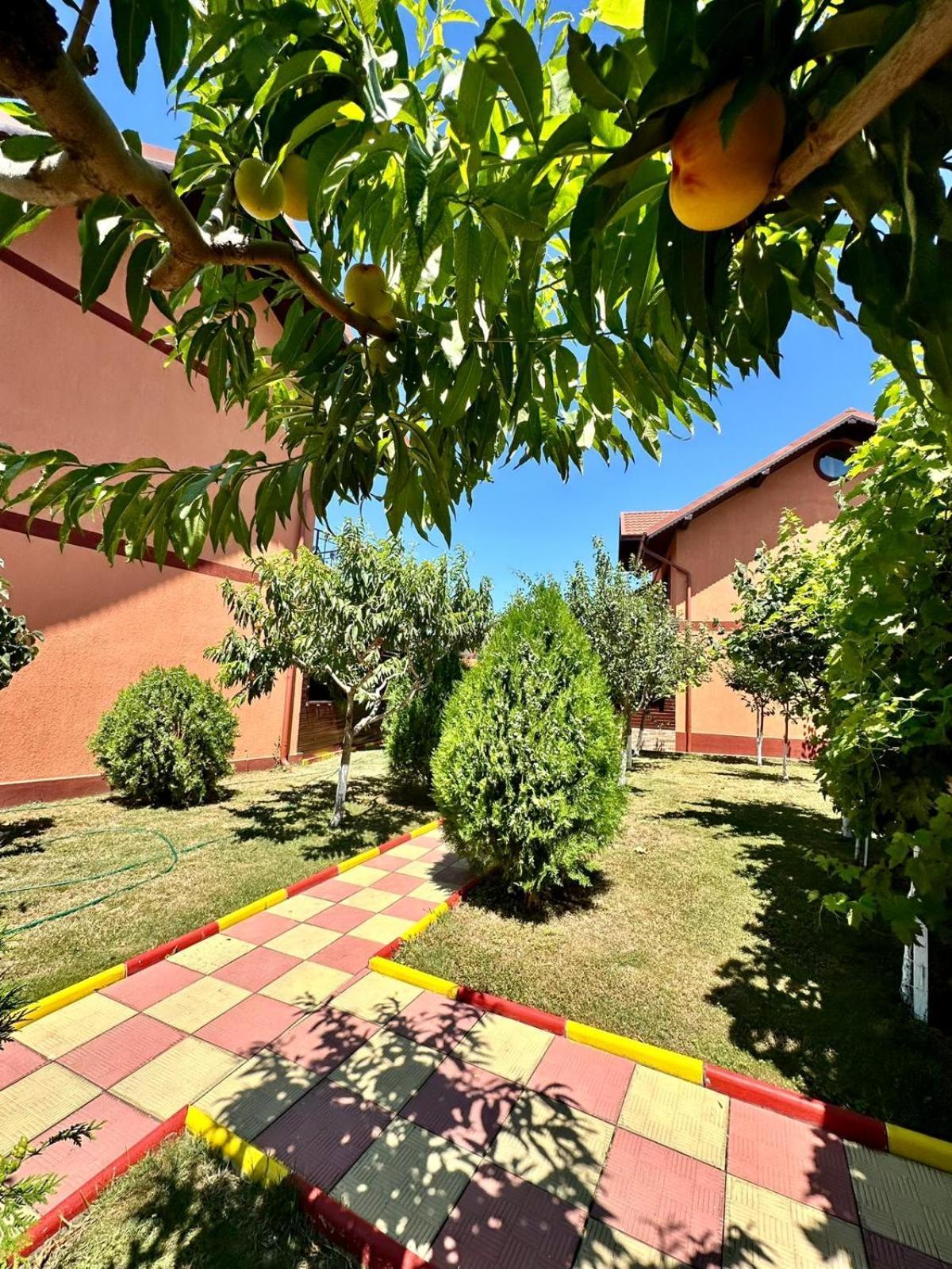 Pensiunea Bianca Corbu (Constanta) Exterior foto